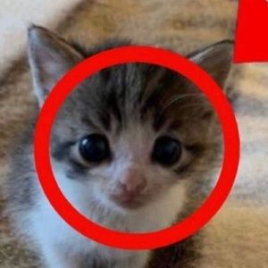 Meet your Posher, Jack